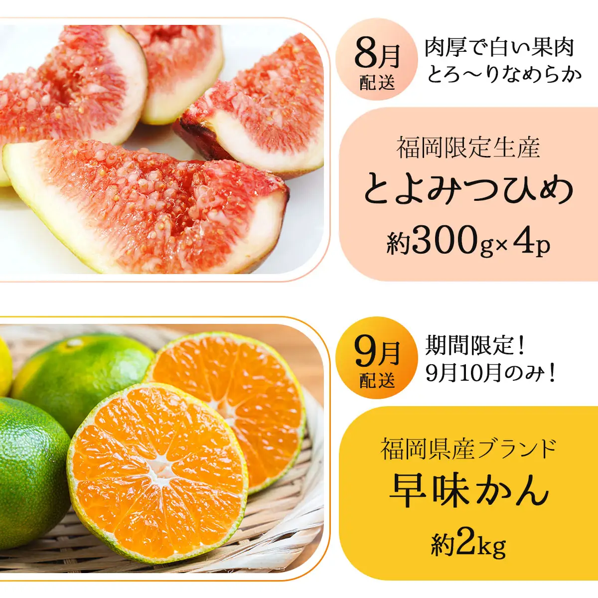 ＜2回定期便＞福岡ブランドの旬のフルーツ定期便 (篠栗町)｜イチジク ミカン キウイ 柿 イチゴ【NF022】
