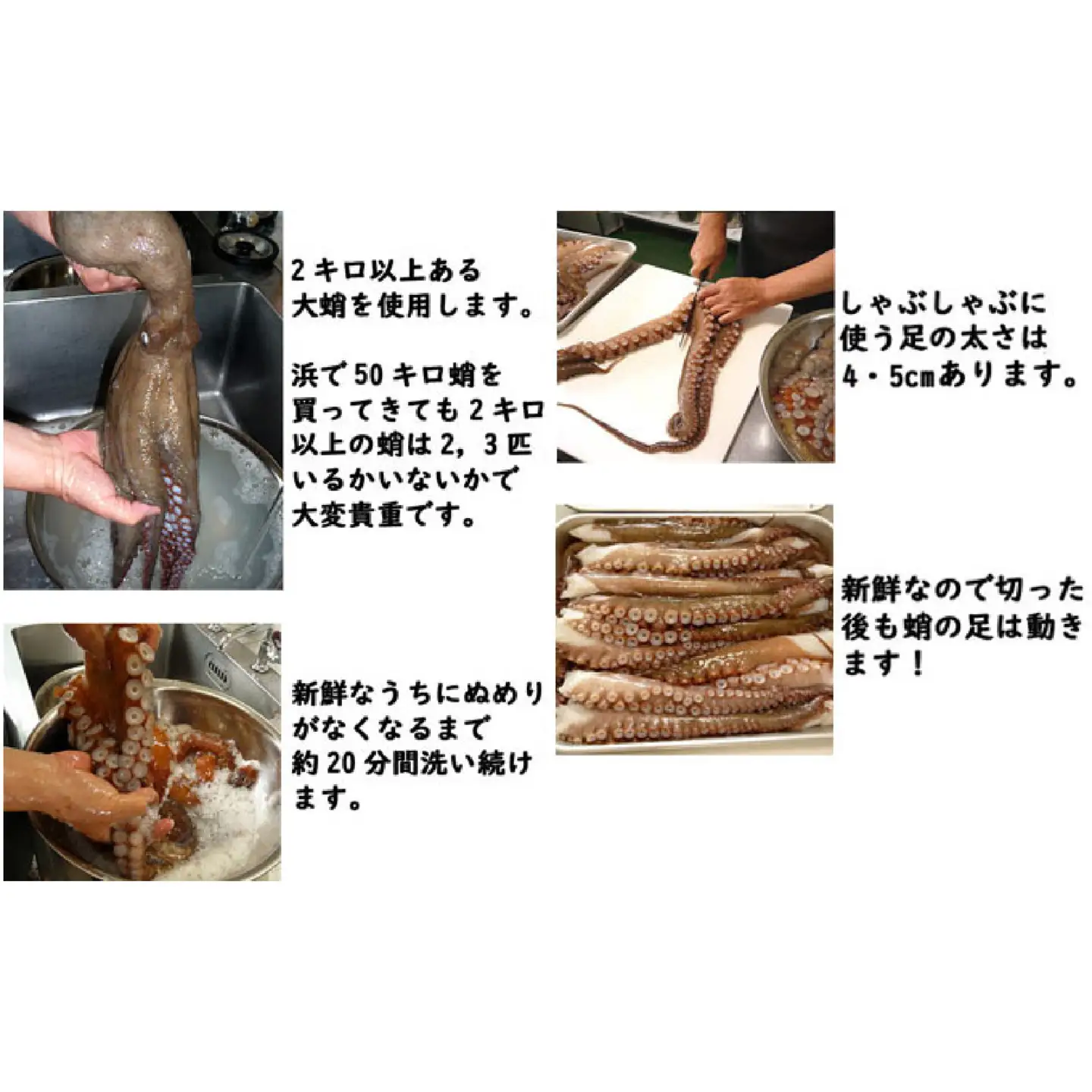 明石だこのたこしゃぶ 約8人前 250g × 4個