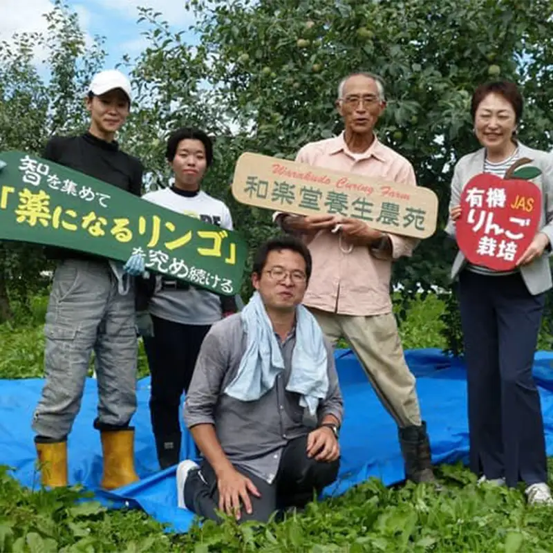 有機栽培 りんご サンつがる 約3kg 【和楽堂りんご養生農苑】 青森りんご F21U-733