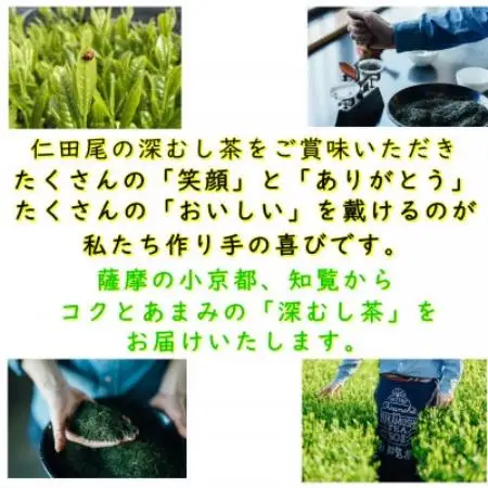 【贈答用】知覧茶園の深むし茶ティーバッグ「吟」10包入　3個セット【1773080】