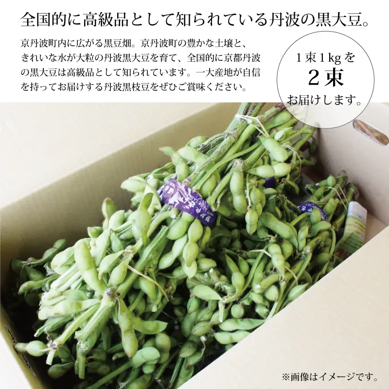 《先行予約》丹波黒枝豆 枝付き 2kg 京都 京丹波町産 【 枝豆 おつまみ 】[011KK001L]