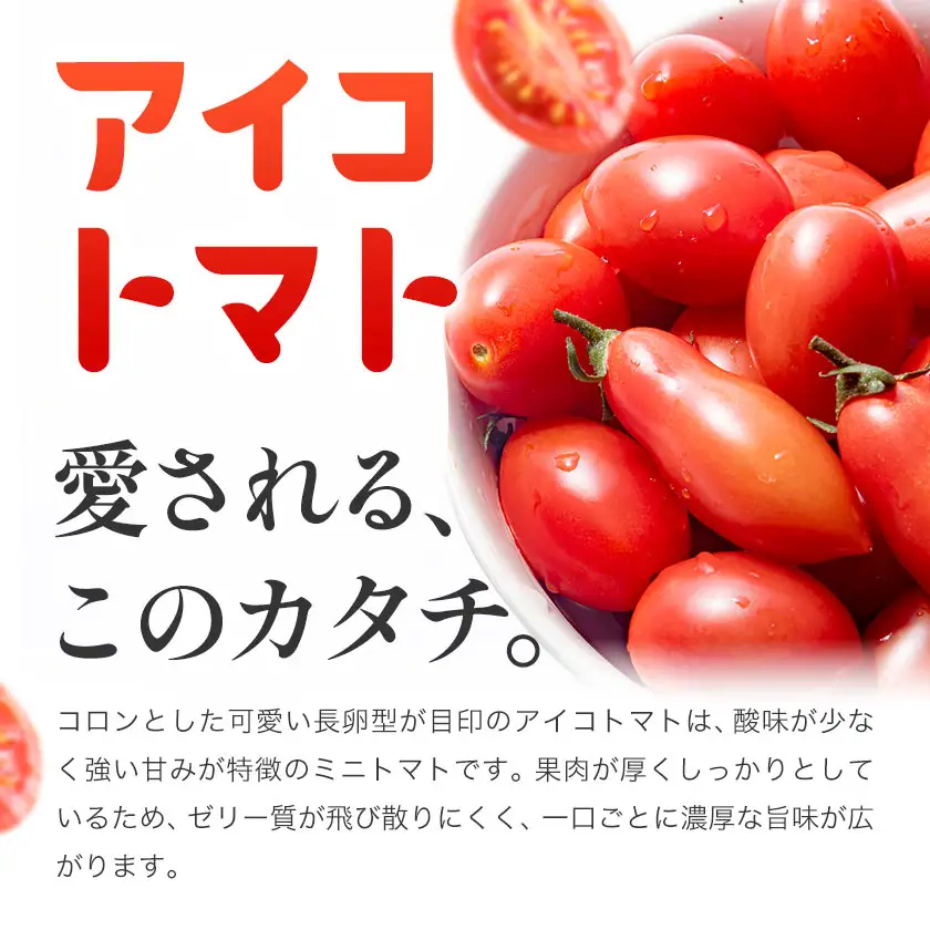 トマト アイコトマト ミニトマト 2kg GOGO農園 
