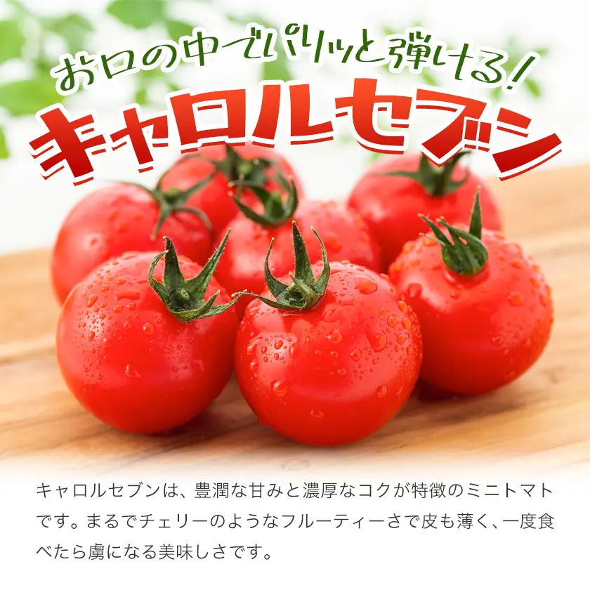 トマト キャロルセブン ミニトマト 2kg GOGO農園 