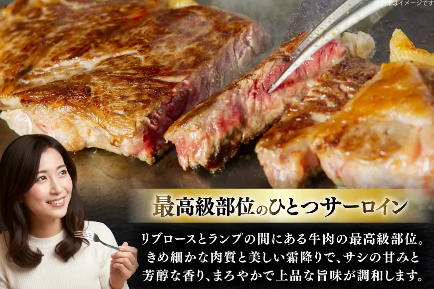 牛肉 和牛 長崎和牛 サーロイン 200g (200g×1)