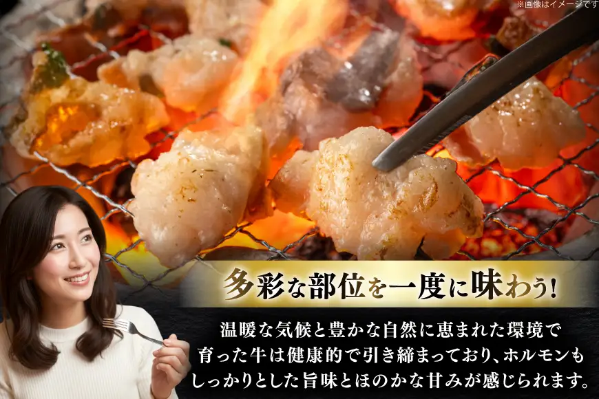 牛肉 和牛 長崎和牛ホルモンミックス 750g (250g×3)