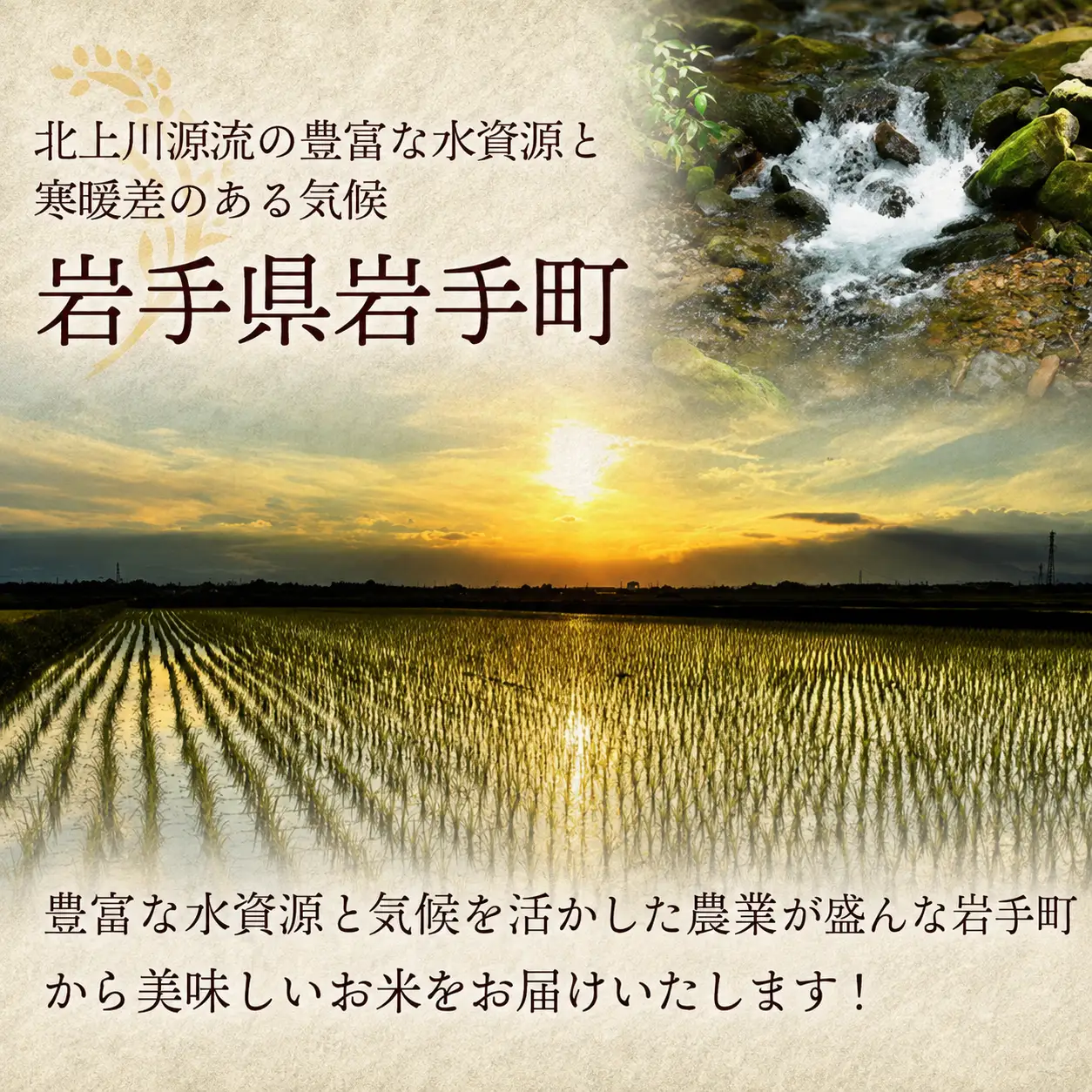 あきたこまち 10kg 令和7年度産 白米 あきたこまち