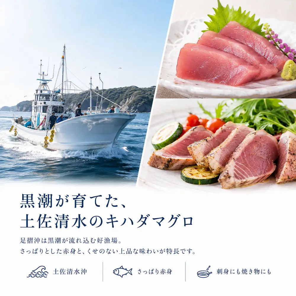 キハダマグロ 1尾 約2～2.5kg 約40～60cm 約8～12人前 下処理あり【R01758】