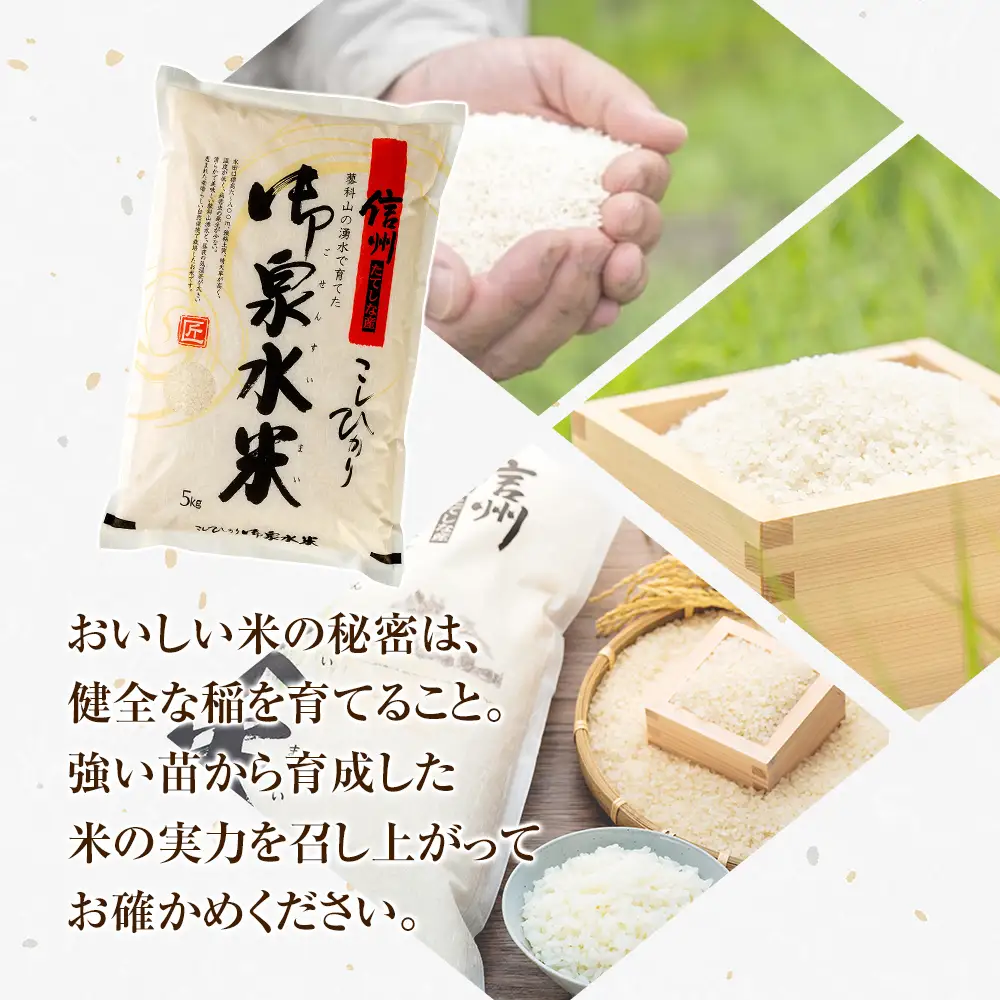 【令和8年産米】 信州たてしな産 御泉水米 こしひかり 5kg