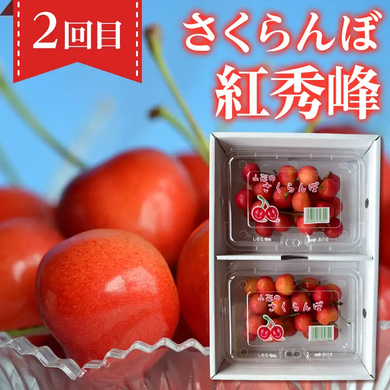 【定期便4回】ノノハナフルーツ 笑顔花咲く 食べ切り定期便  FY26-232