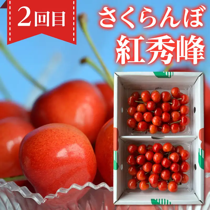 【定期便4回】ノノハナフルーツ 笑顔花咲く定期便 FY26-233