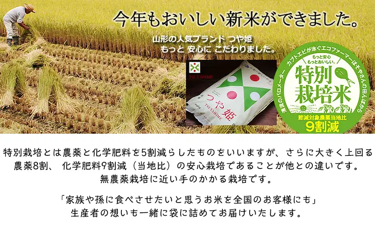 令和7年度産 山形産 「つや姫」10kg (精米) 特別栽培米 8割減農薬・9割減化学肥料（当地比）【カブトエビが泳ぐほそやさんの田んぼから】微生物を活性化させるワーコム栽培 FY26-269