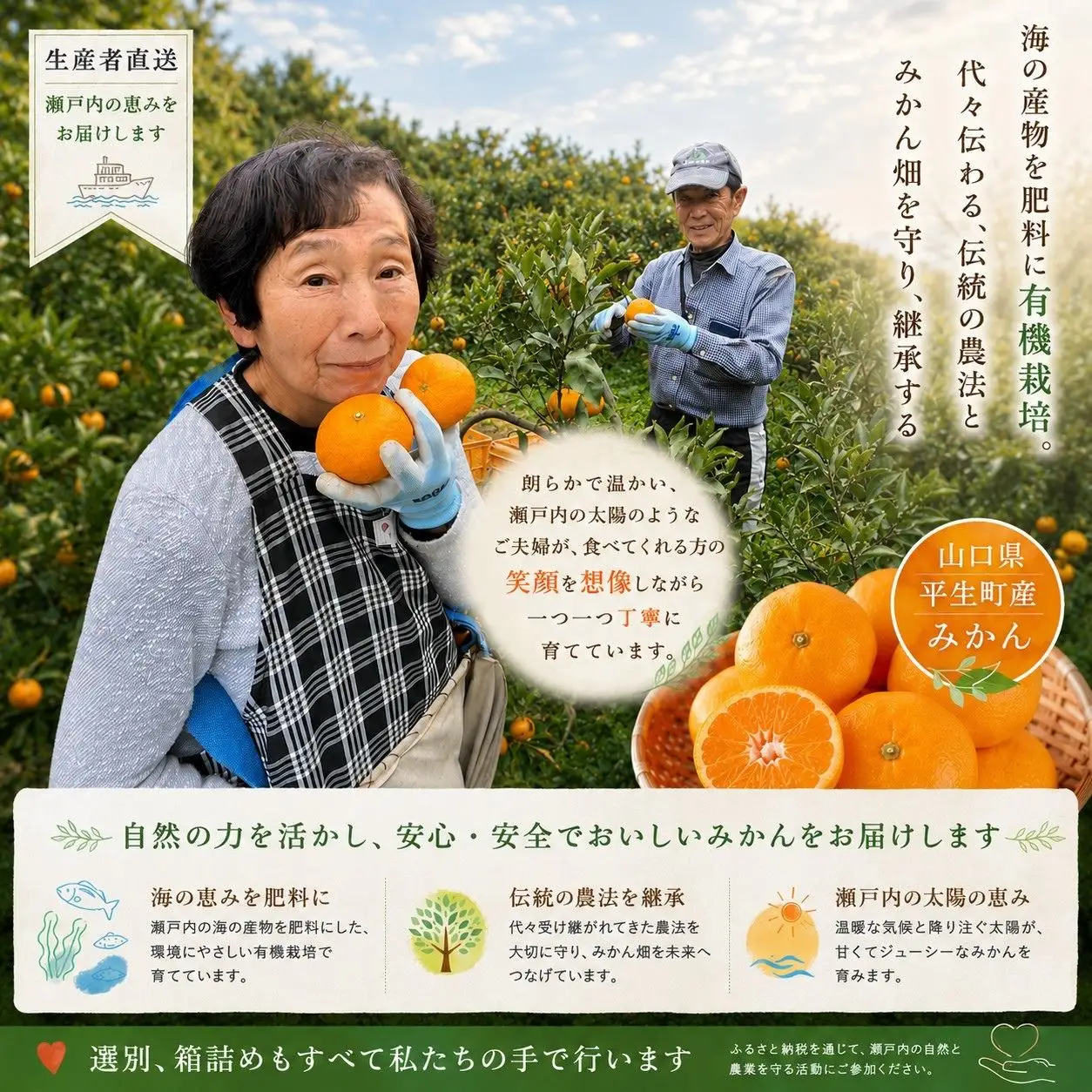  先行予約 年内発送 ふくちゃんちのみかん サイズミックス 約10kg  令和8年12月初旬～順次発送
