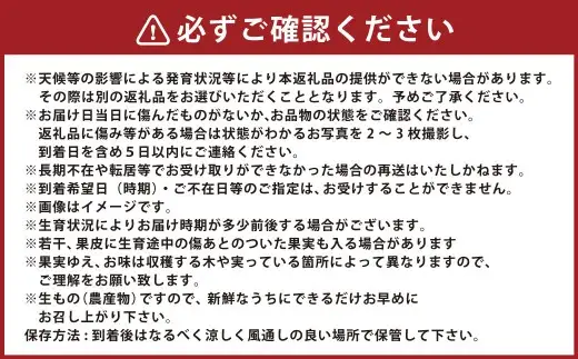 【年6回定期便】 熊本おすすめフルーツ定期便（メロン＆スイカ・いちご・デコポン・メロン・マンゴー＆巨峰・シャインマスカット） 【2026年12月上旬発送開始】 メロン スイカ いちご デコポン マンゴー 巨峰 シャインマスカット  フルーツ 果物 くだもの 定期便 年6回 熊本県 熊本県産
