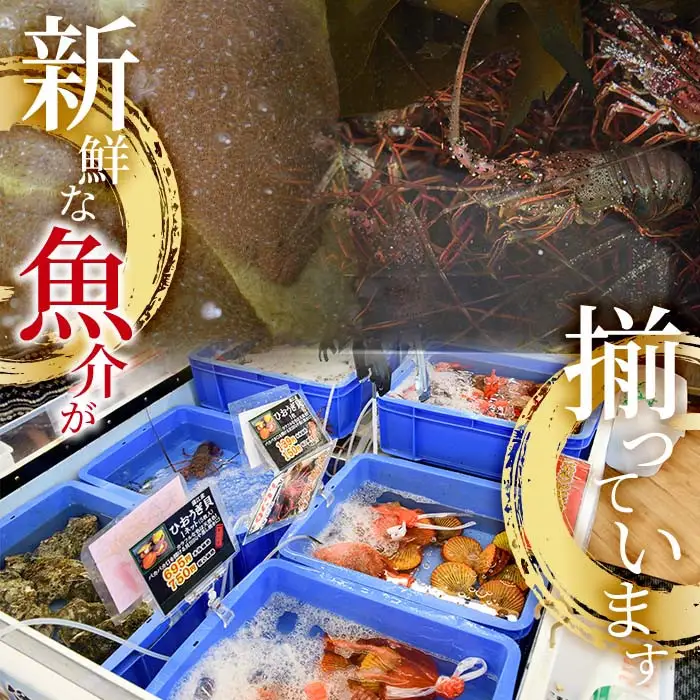 冷凍 ヒオウギ貝 (計10枚) 魚介 貝 ヒオウギ貝 ひおうぎ貝 酒蒸し 網焼き バター焼き バーベキュー 獲れたて 海の直売所 大分県 佐伯市【AS151】【海べ】