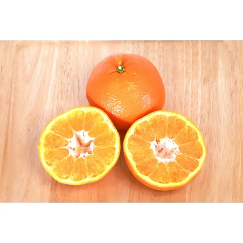 紅八朔 家庭用　サイズ混合 約10kg【1350】