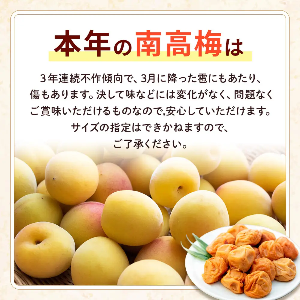 訳あり 紀州南高梅 小梅 まごころ しら干し 90g ×8パック 塩分約20％ ［TR8w］