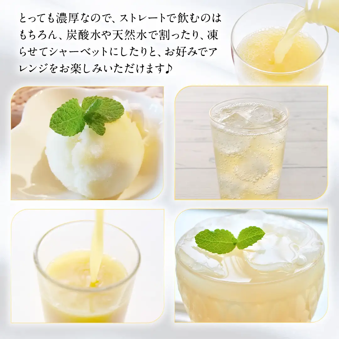りんごジュース 1L×2本 (FI003)