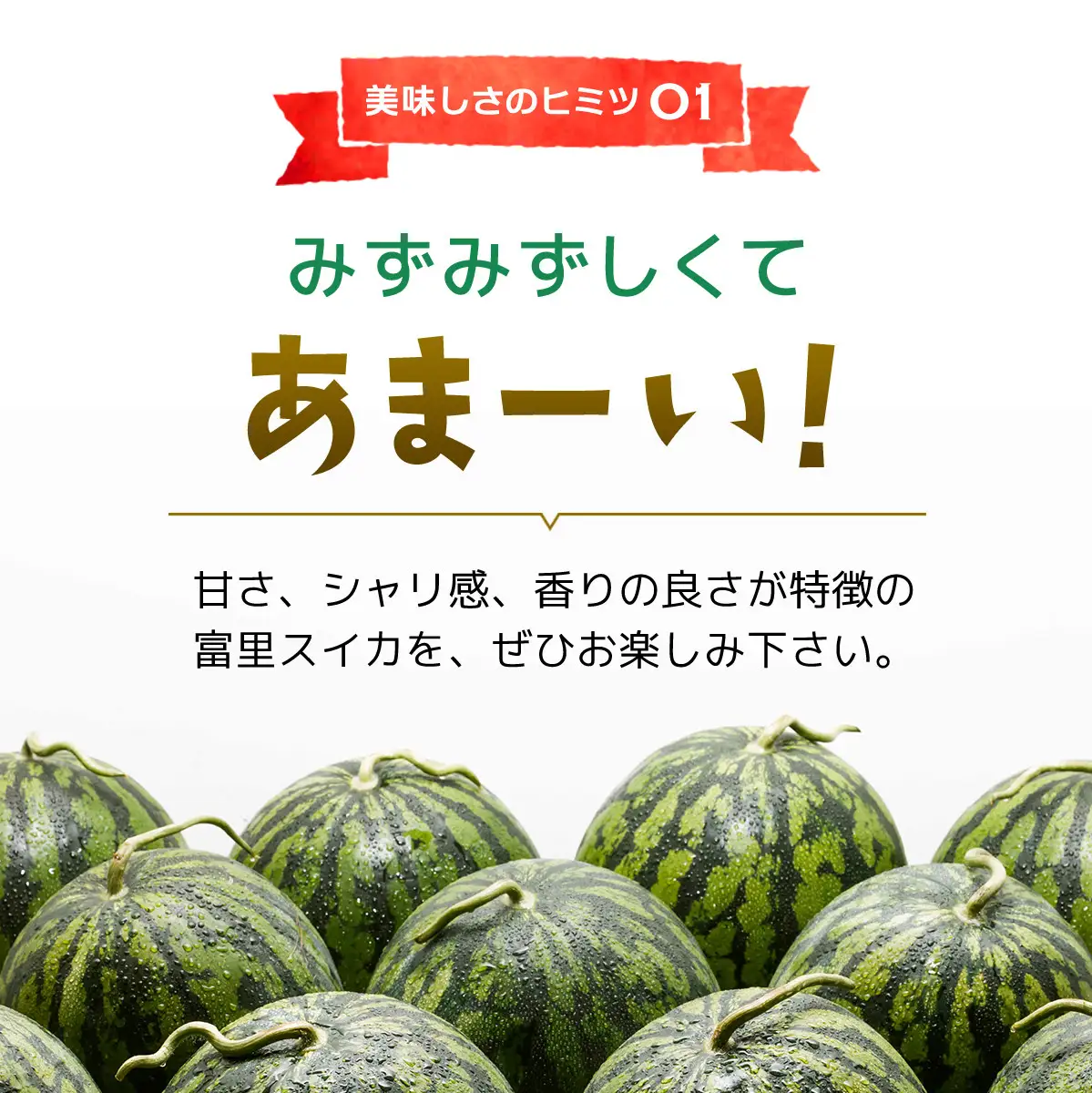【期間限定】富里秋スイカ ２L １玉 / すいか スイカ 西瓜 千葉県 富里市 果物 フルーツ 採れたて とれたて 産地直送 農家直送 千葉県産 ちば 千葉すいか 千葉スイカ 富里 富里すいか 富里スイカ 甘い あまい 美味しい おいしい 大玉 大玉すいか 大玉スイカ TMF012