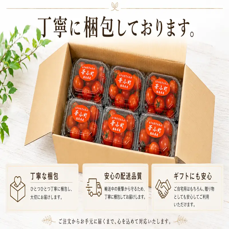 フルーツ トマト 華小町 小分け 4パック 【 ミニトマト 】