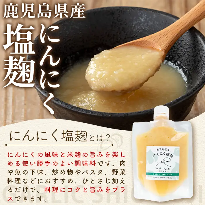 鹿児島県産 にんにく 塩麹 約120g 国産 発酵【悠希農園】P93002