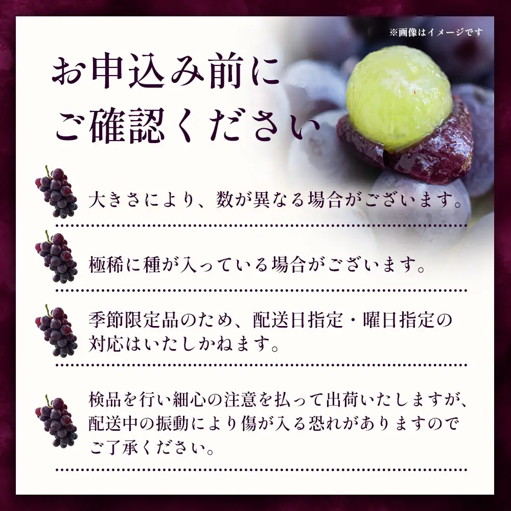 【もうすぐ終了・～9/15まで】本土最南端のぶどう 高墨 約2kg(4～6房）種無し TE-2｜ 黒ぶどう たかすみ 産地直送 旬 ブドウ 葡萄 ぶどう フルーツ 果物 くだもの 数量限定 果実 巨峰 枝変わり 鹿児島県 南大隅町 有限会社ティエラ　