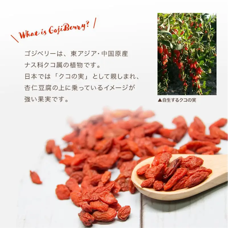 ゴジベリー(クコの実)500g×2袋 【kw0090-0021】