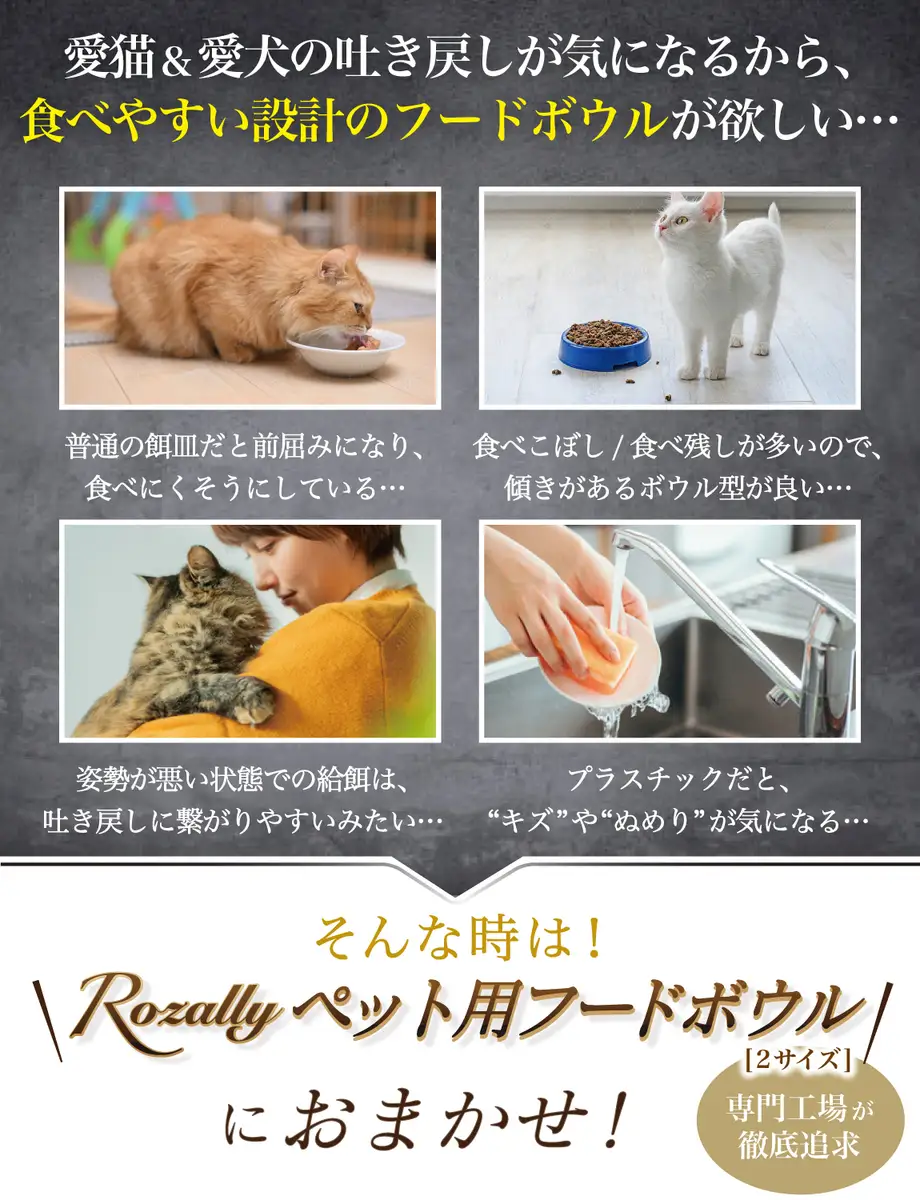 【獣医師が監修】 猫 犬 食器 フードボウル 吐き戻し防止 フードボウル小 ブラック 【kw0286-0054-7】