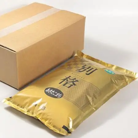 【毎月定期便】あきたこまち 無洗米 5kg全12回【配送不可地域：離島・沖縄県】【4090579】