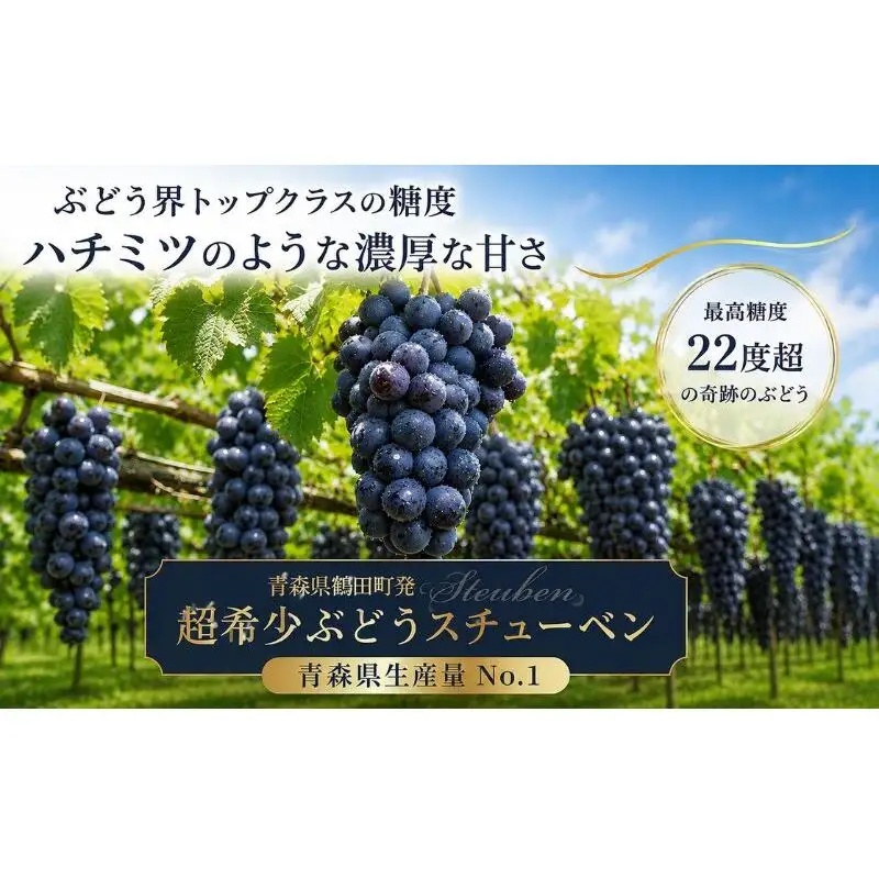 【園主厳選・ご家庭用】奇跡のぶどう スチューベン 5kg 最高糖度22度超！ わかな農園