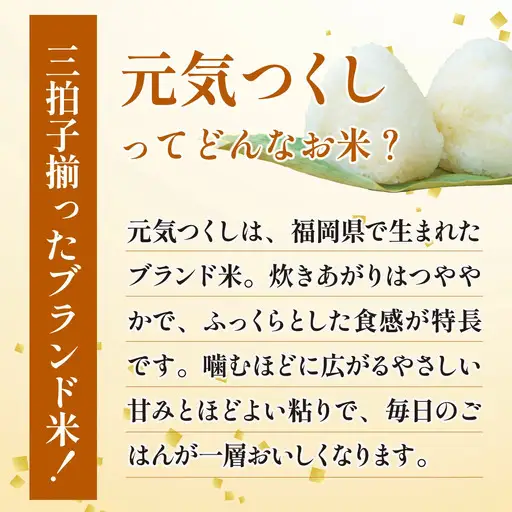 【定期便：12ケ月】令和８年産 福岡県産米 元気つくし 5kg 精米 CY022sub12