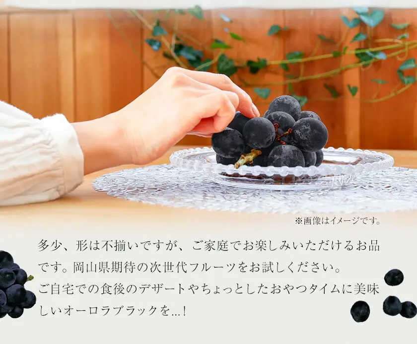 【2027年先行予約】岡山県産 ご家庭用 オーロラブラック 2～3房 約1.2kg【配送不可地域：離島】