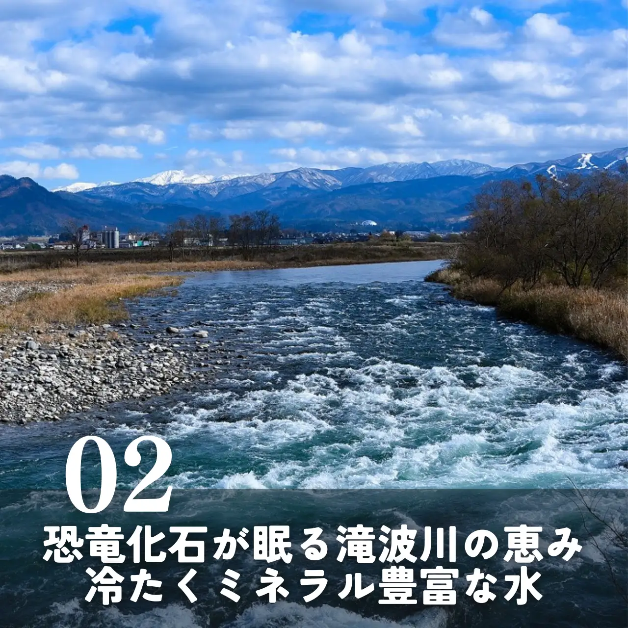 米 2026年産新米 コシヒカリ 勝山産 10kg（精米）【先行予約】