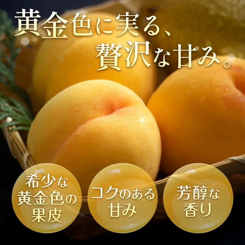 【2027年発送先行予約】ご家庭用 岡山県産 黄金桃 約1.5kg 5～6玉【配送不可地域：離島】