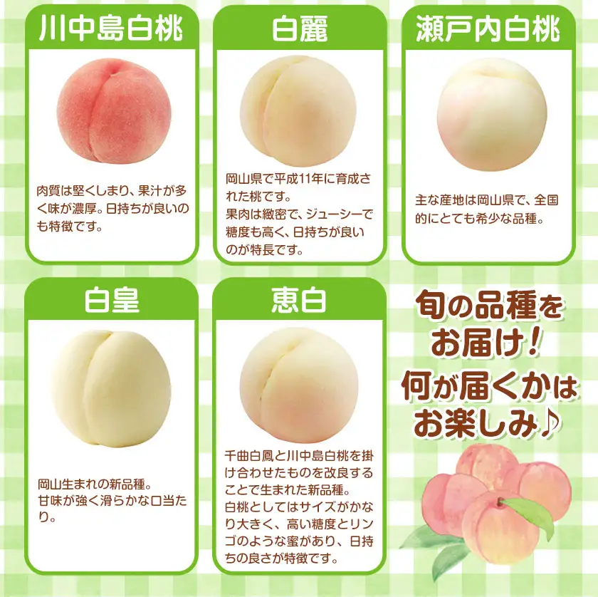 【2027年発送先行予約】岡山白桃 2種 食べ比べ 約750g(3玉)×2種【配送不可地域：離島】