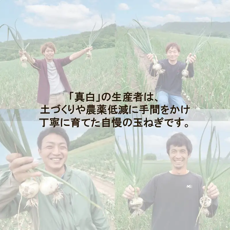 【予約：2027年8月発送】JAきたみらい産 玉ねぎ 真白 3kg ( 玉葱 たまねぎ 野菜 ましろ )【225-0002】