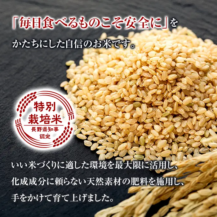 【令和8年産米】信州たてしな産 蓼科自然の恵 (玄米) 5kg