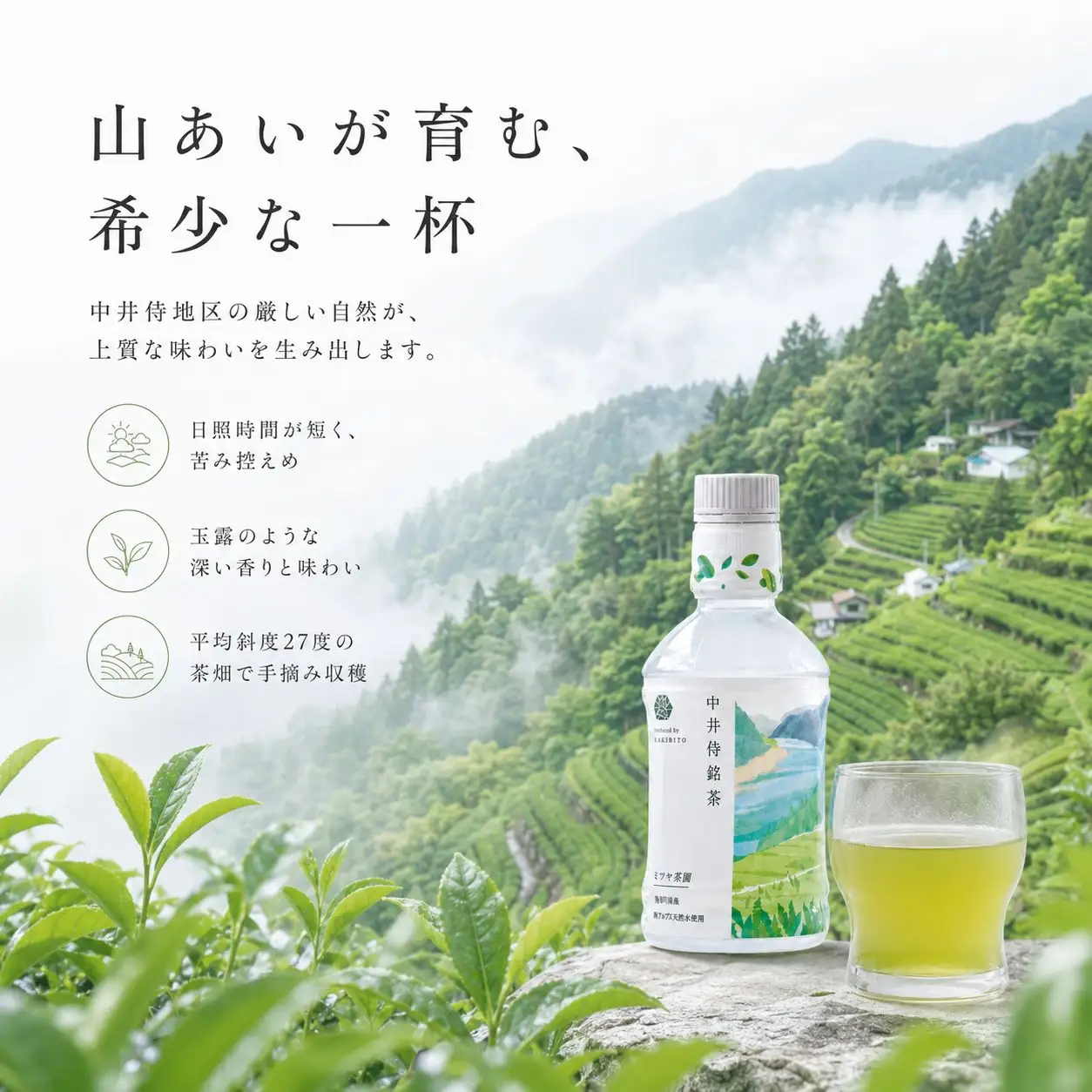 【定期便4回】 毎月お届け 「中井侍銘茶 product by MAKIBITO」 6本入り