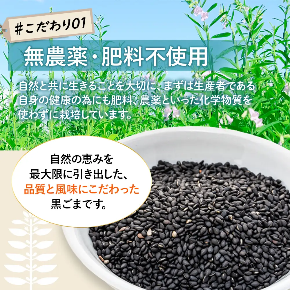 立科町産 黒ごま（炒り胡麻） 25g×10袋