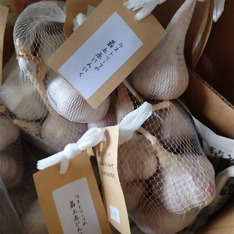 山形県 戸沢村産 最上赤にんにく 5個 約250g 国産 野菜 やさい 大蒜 ニンニク ストック 保存 自宅 家庭 F7W-0501