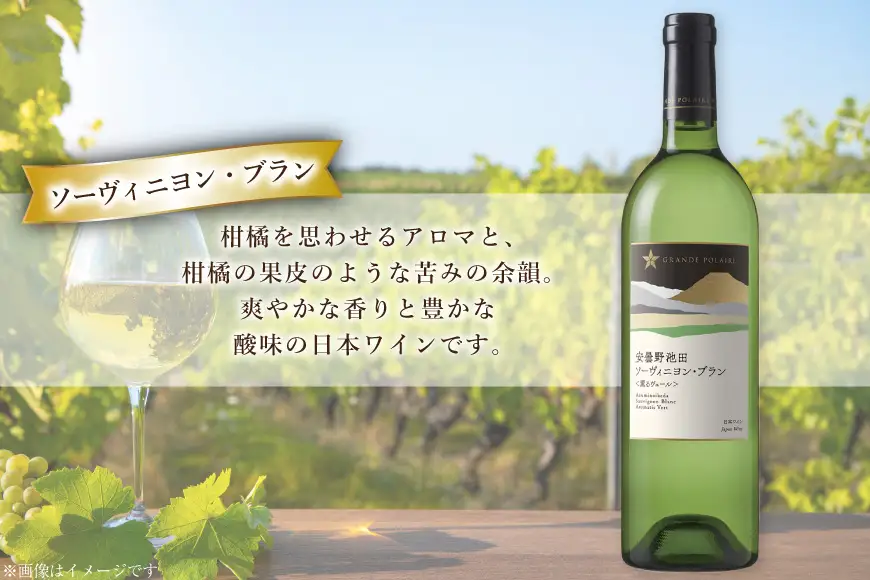 ワイン セット サッポログランポレール 安曇野池田ヴィンヤードワイン 白2種セット 750ml 計2本