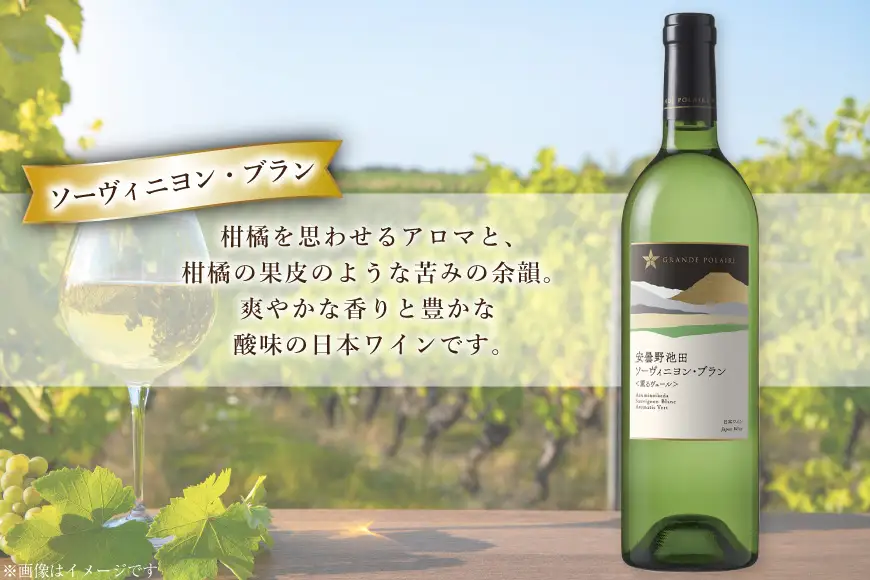 ワイン セット サッポログランポレール 安曇野池田ヴィンヤードワイン 赤白2種セット 750ml 計2本