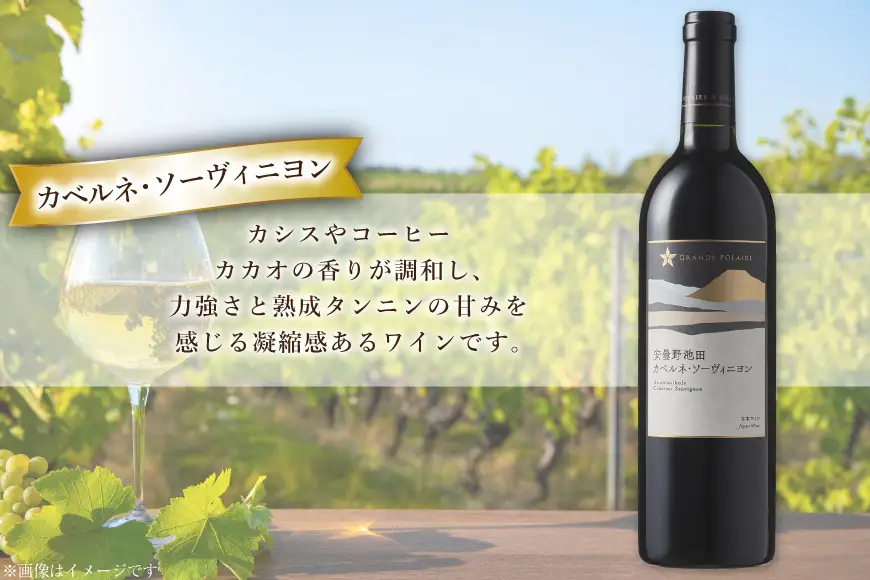 赤ワイン セット サッポログランポレール 安曇野池田ヴィンヤードワイン 赤2種セット 750ml 計2本