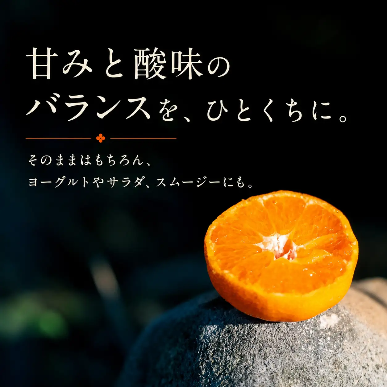 訳あり 温州みかん箱込み5キロ
