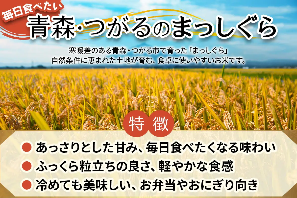 令和8年産 つがる市産 まっしぐら 白米／玄米 10kg [1080]