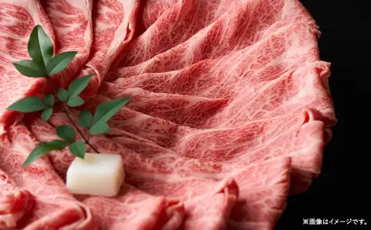 訳あり！ 【 A4 ～ A5 】 博多和牛赤身霜降り しゃぶしゃぶすき焼き用 （ 肩 ・ モモ ） 600g お肉 肉 ニク にく 牛肉 牛 赤身 霜降り しゃぶしゃぶ すき焼き 博多和牛 精肉 国産 福岡県産 冷凍