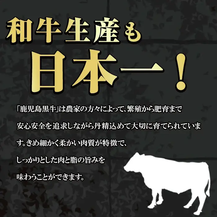 鹿児島黒牛 カタロース 計600g) 牛肉 R-701【JA鹿児島いずみ】i1362-A