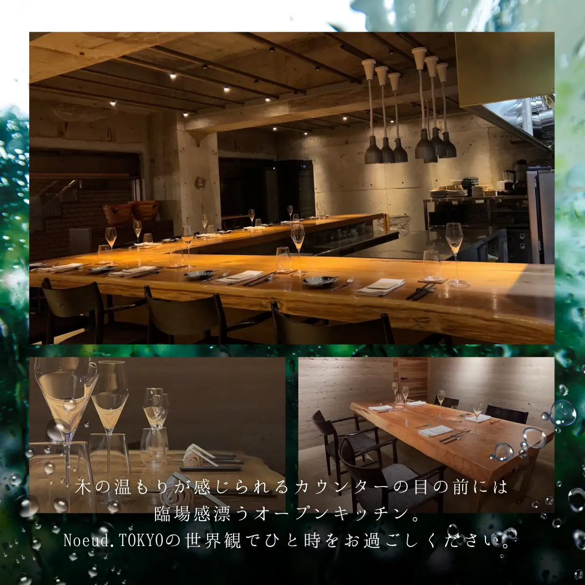 【永田町　フレンチ】Noeud.TOKYO「愛南町スペシャルコース」1名様