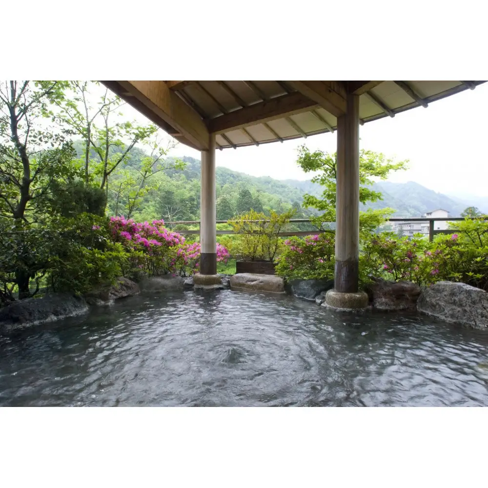 【花紫】平休日1泊2食付　ペア宿泊券《和室》