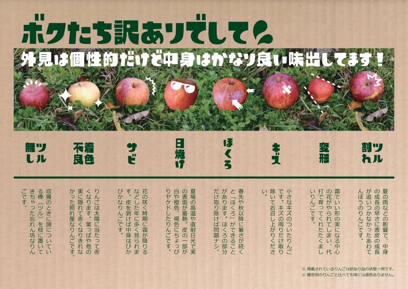 【加工調理用】米崎りんご「サンふじ」 約12kg りんご スイーツやサラダに