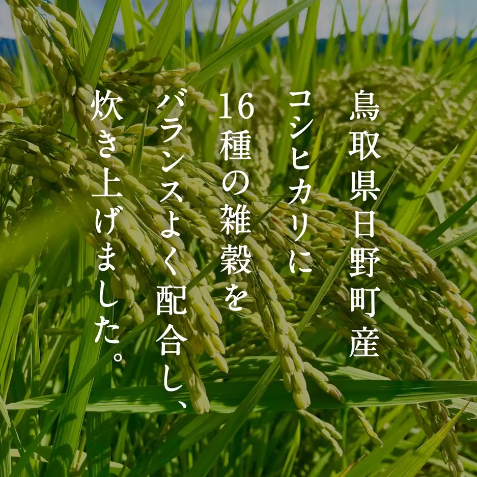 【予約受付中】【10月中旬以降発送】【定期便】十六雑穀ごはん 160g【18個×3か月】 パックご飯 パックごはん 雑穀 雑穀パックごはん 玄米 コシヒカリ こしひかり おこめのみかた 電子レンジ レトルト